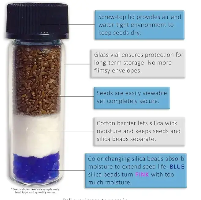 vial-of-passion-flower-seeds-for-freezing